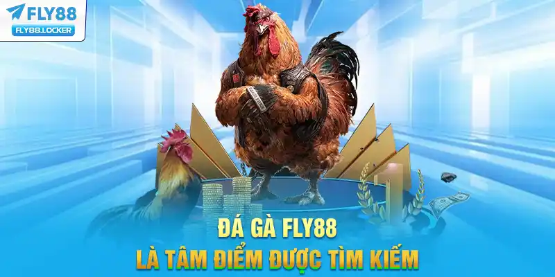 Đá gà FLY88 là tâm điểm được tìm kiếm