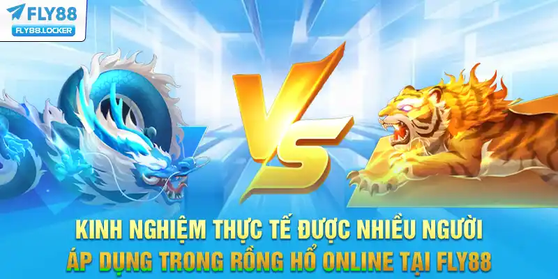 Kinh nghiệm thực tế được nhiều người áp dụng trong rồng hổ online tại FLY88